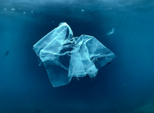 how fast do biodegradable garment bags breakdown