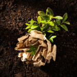 how fast do biodegradable garment bags breakdown